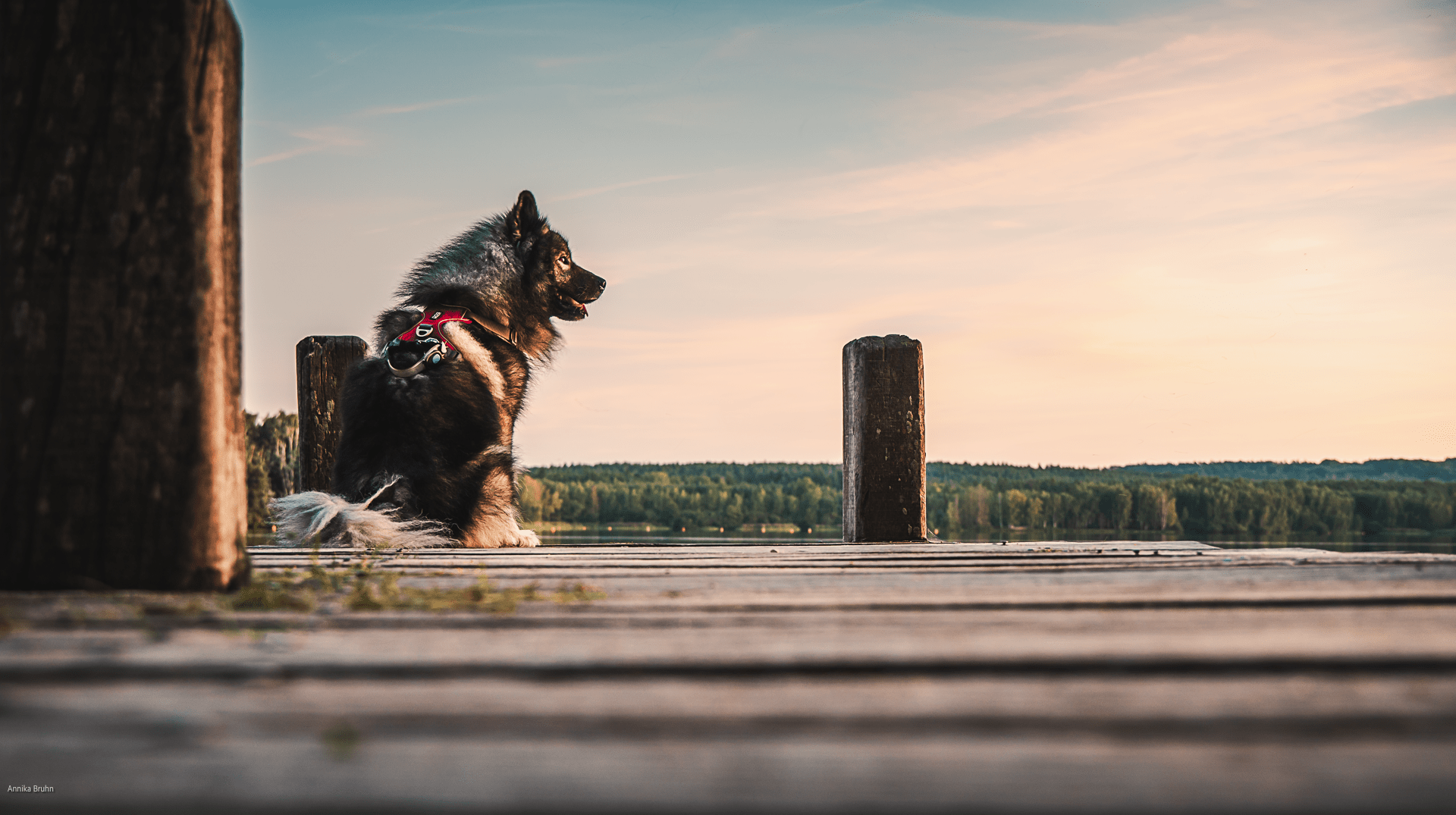 Q auf dem Steg am Brombachsee